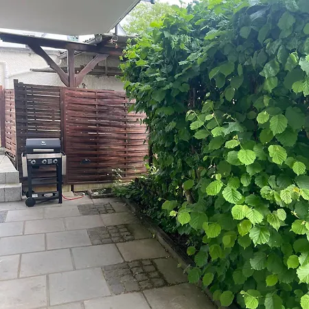 Sunset Mit Rheinblick In Urbar * Urbar (Mayen-Koblenz)