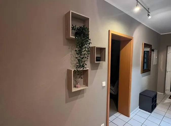 Sunset Mit Rheinblick In Urbar